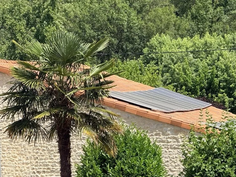 Sur le toit aux tuiles rouges d’une charmante maison en pierre typique de la Charente, à deux pas d’Angoulême, un panneau solaire capte les rayons du soleil tout en étant délicatement ombragé par un palmier. La bâtisse est entourée d’une végétation luxuriante, offrant une ambiance accueillante et authentique pour une maison d’hôtes écologique alliant patrimoine charentais et confort moderne.
